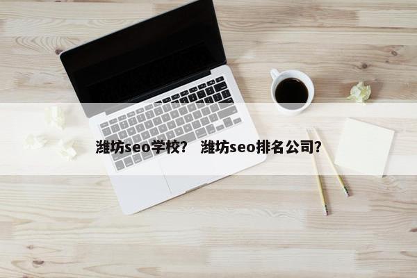 潍坊seo学校？ 潍坊seo排名公司？