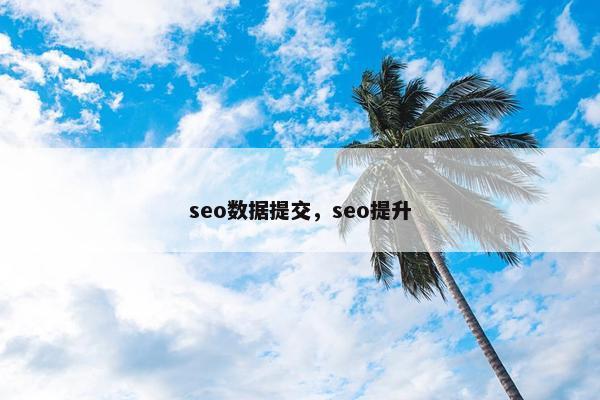 seo数据提交，seo提升