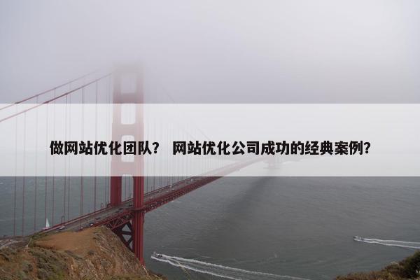 做网站优化团队？ 网站优化公司成功的经典案例？