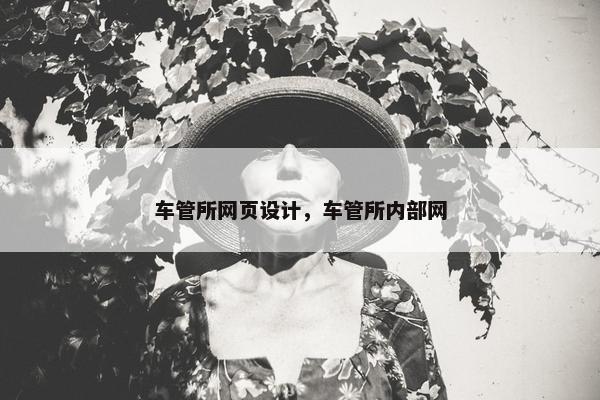 车管所网页设计，车管所内部网