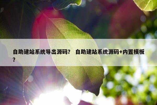 自助建站系统导出源码？ 自助建站系统源码+内置模板？