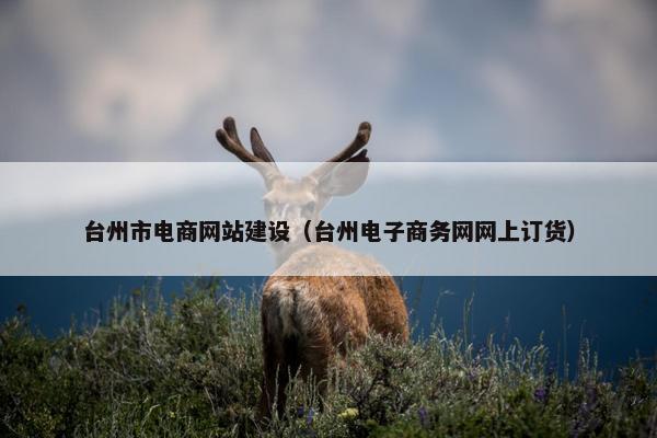 台州市电商网站建设（台州电子商务网网上订货）