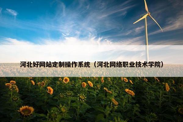 河北好网站定制操作系统（河北网络职业技术学院）