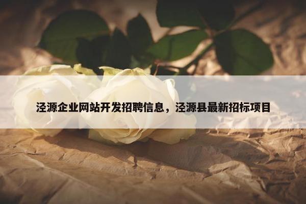 泾源企业网站开发招聘信息，泾源县最新招标项目