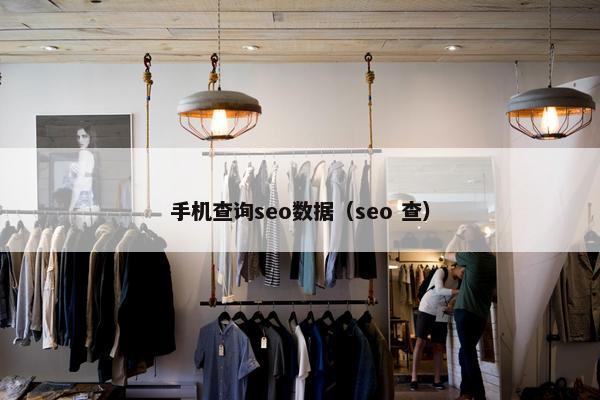 手机查询seo数据（seo 查）