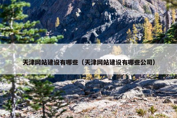 天津网站建设有哪些（天津网站建设有哪些公司）