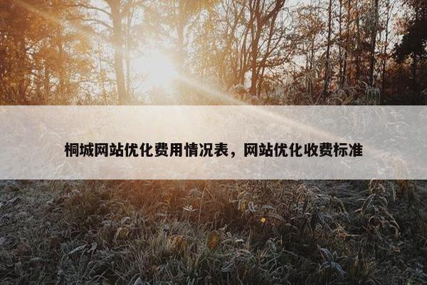 桐城网站优化费用情况表，网站优化收费标准