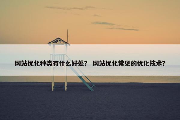 网站优化种类有什么好处？ 网站优化常见的优化技术？