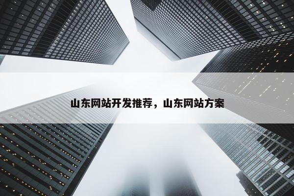 山东网站开发推荐，山东网站方案