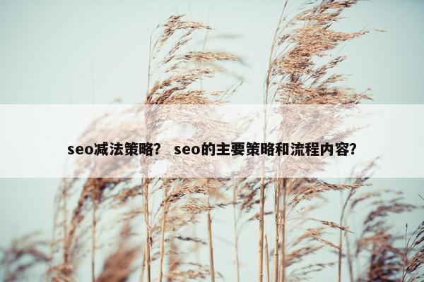 seo减法策略？ seo的主要策略和流程内容？