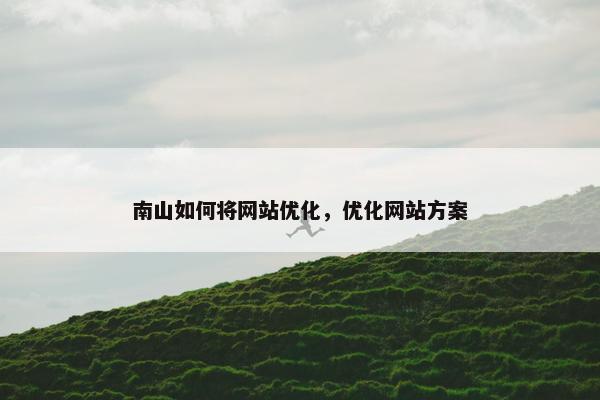 南山如何将网站优化，优化网站方案
