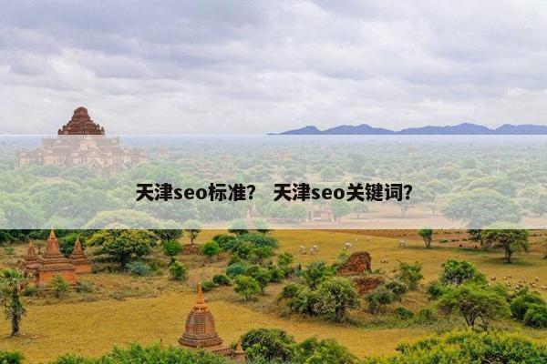 天津seo标准？ 天津seo关键词？