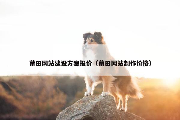 莆田网站建设方案报价（莆田网站制作价格）