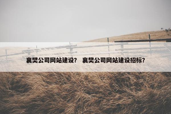 襄樊公司网站建设？ 襄樊公司网站建设招标？