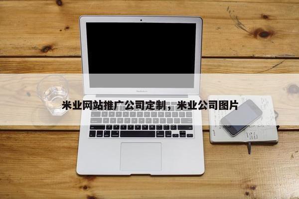 米业网站推广公司定制，米业公司图片