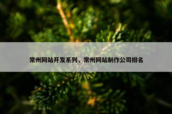 常州网站开发系列，常州网站制作公司排名