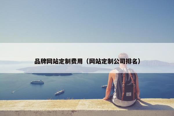 品牌网站定制费用（网站定制公司排名）