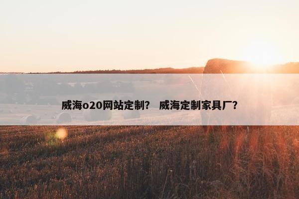 威海o20网站定制？ 威海定制家具厂？