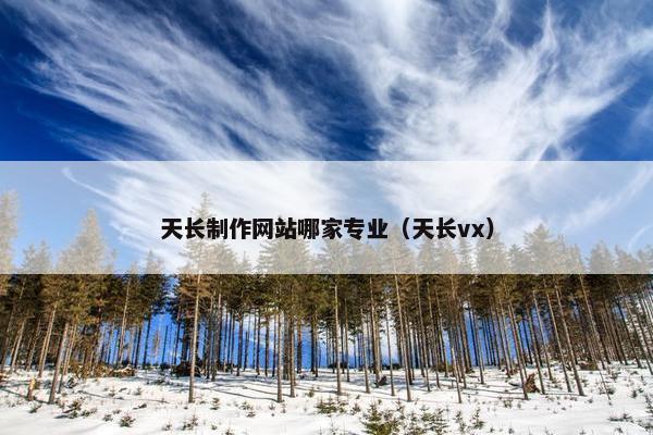 天长制作网站哪家专业（天长vx）