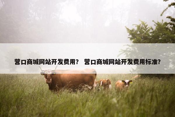 营口商城网站开发费用？ 营口商城网站开发费用标准？