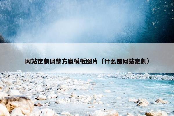 网站定制调整方案模板图片（什么是网站定制）