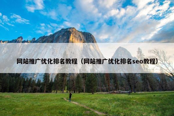 网站推广优化排名教程（网站推广优化排名seo教程）
