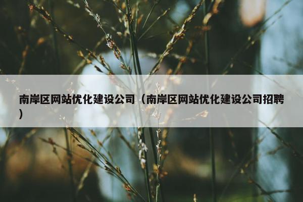 南岸区网站优化建设公司（南岸区网站优化建设公司招聘）