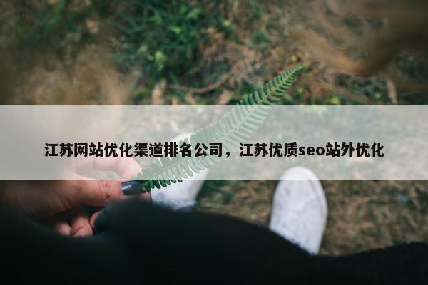 江苏网站优化渠道排名公司，江苏优质seo站外优化