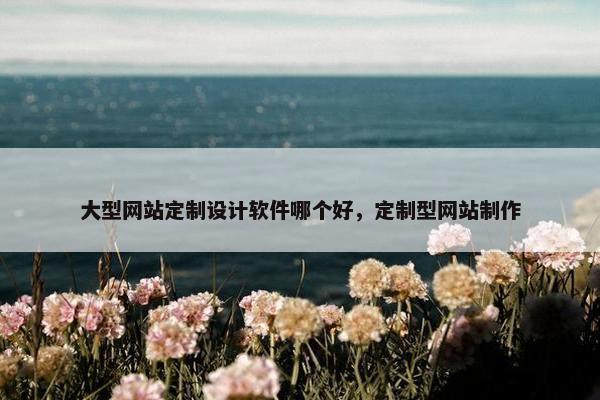 大型网站定制设计软件哪个好，定制型网站制作