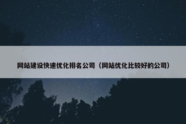 网站建设快速优化排名公司（网站优化比较好的公司）