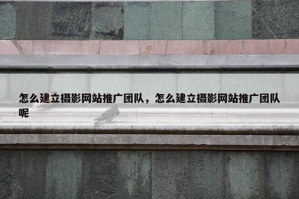 怎么建立摄影网站推广团队，怎么建立摄影网站推广团队呢