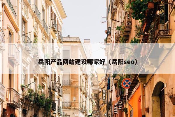 岳阳产品网站建设哪家好（岳阳seo）