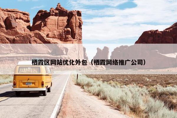 栖霞区网站优化外包（栖霞网络推广公司）