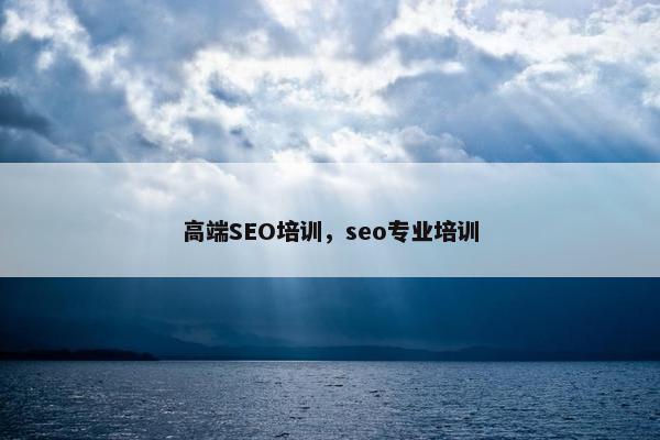 高端SEO培训，seo专业培训