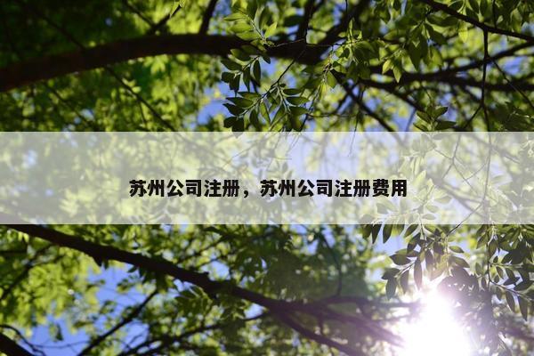 苏州公司注册，苏州公司注册费用