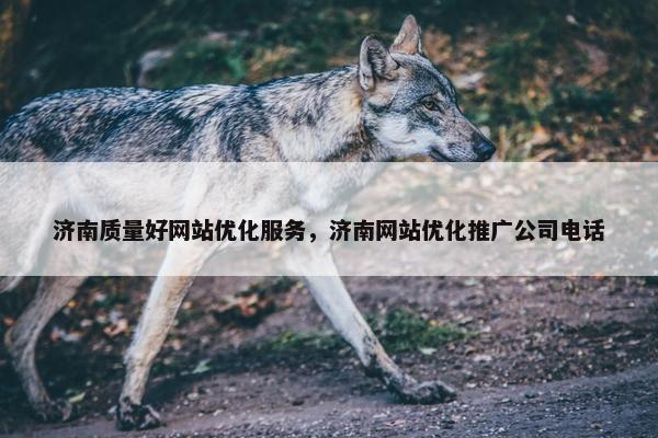 济南质量好网站优化服务，济南网站优化推广公司电话