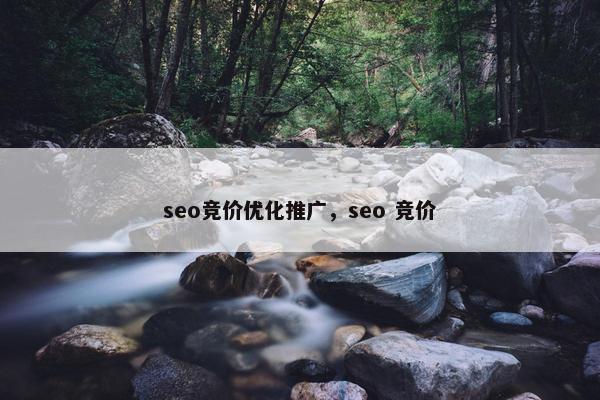 seo竞价优化推广，seo 竞价