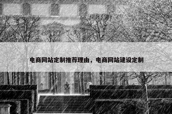 电商网站定制推荐理由，电商网站建设定制