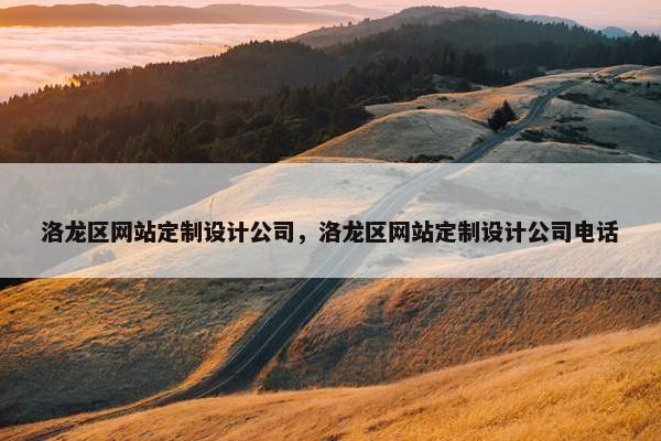 洛龙区网站定制设计公司，洛龙区网站定制设计公司电话