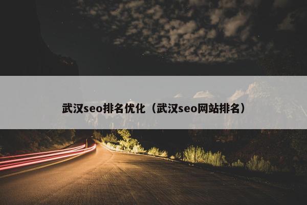 武汉seo排名优化（武汉seo网站排名）