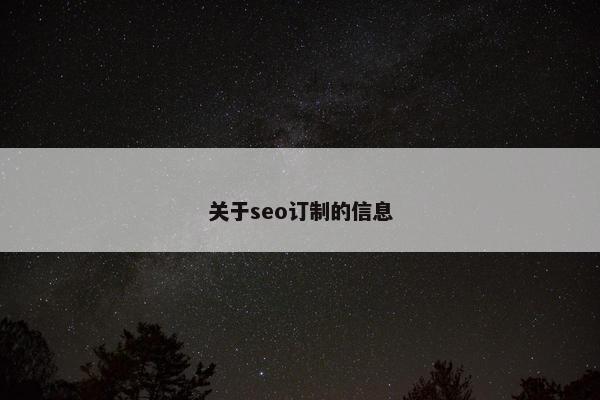 关于seo订制的信息