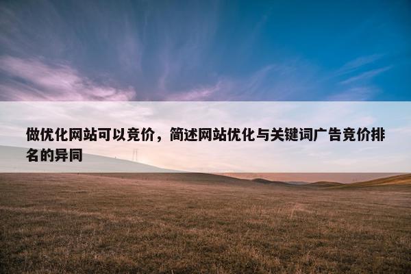 做优化网站可以竞价，简述网站优化与关键词广告竞价排名的异同