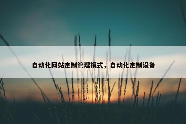 自动化网站定制管理模式，自动化定制设备