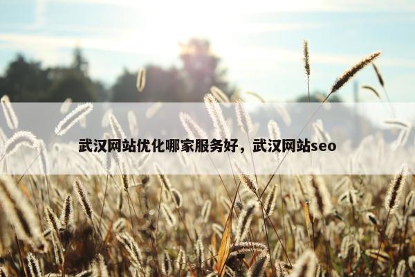 武汉网站优化哪家服务好，武汉网站seo