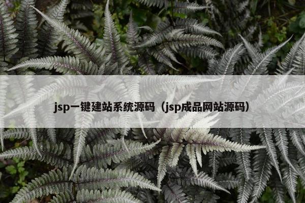 jsp一键建站系统源码（jsp成品网站源码）