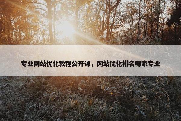 专业网站优化教程公开课，网站优化排名哪家专业