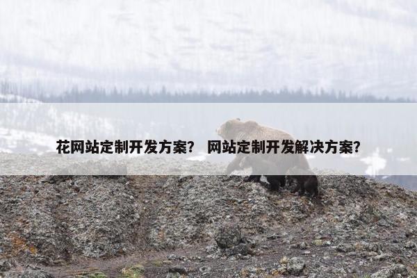 花网站定制开发方案？ 网站定制开发解决方案？
