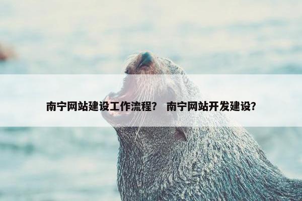 南宁网站建设工作流程？ 南宁网站开发建设？