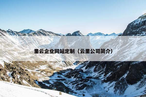 里云企业网站定制（云里公司简介）