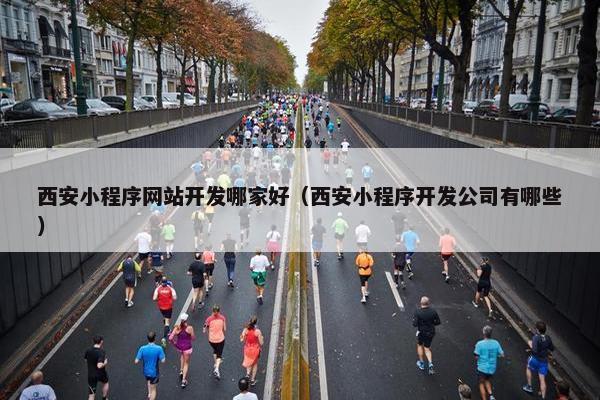 西安小程序网站开发哪家好（西安小程序开发公司有哪些）